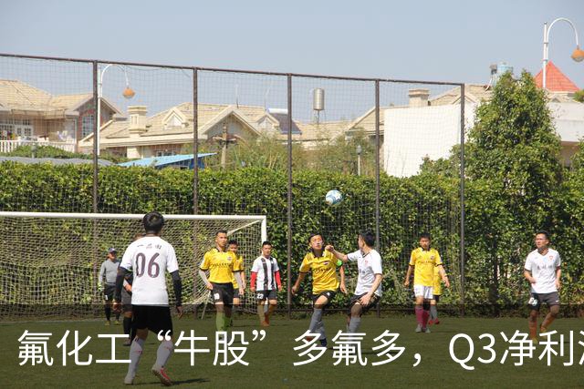氟化工“牛股”多氟多，Q3净利润环比下降41%，股价较年内高点回撤56%